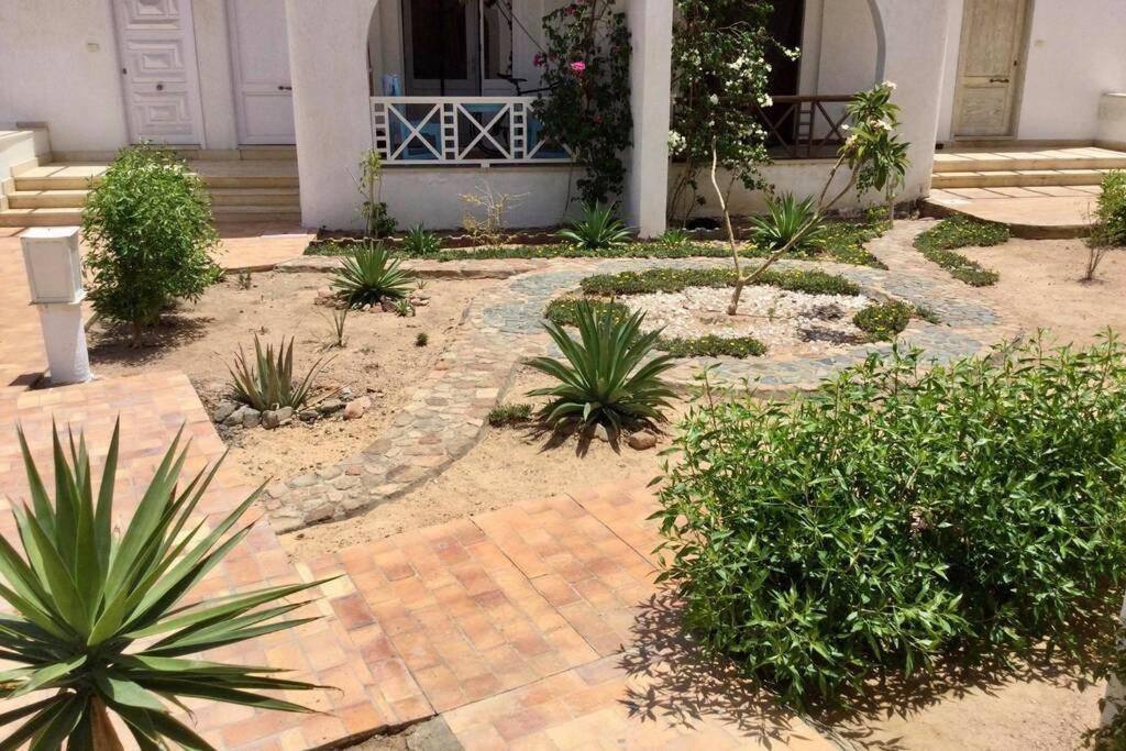 Apartament Beyt Alzohour - Casa Dei Fiori Dahab Zewnętrze zdjęcie